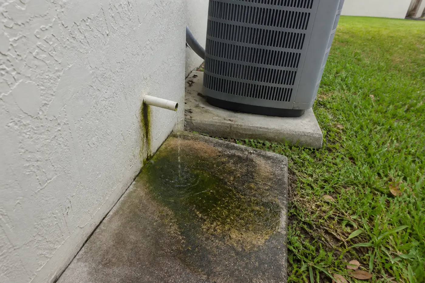 Clogged PVC condensate drain with algae beside an outdoor condenser during AC maintenance in Tampa