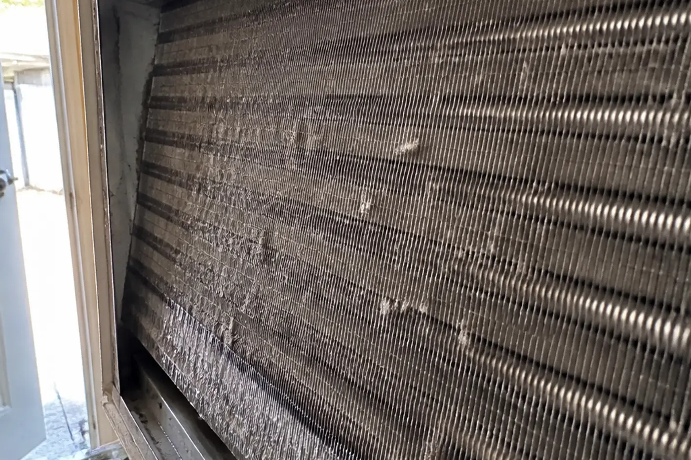Dust-caked indoor evaporator coil inside a Tampa Bay air handler after the access panel is removed