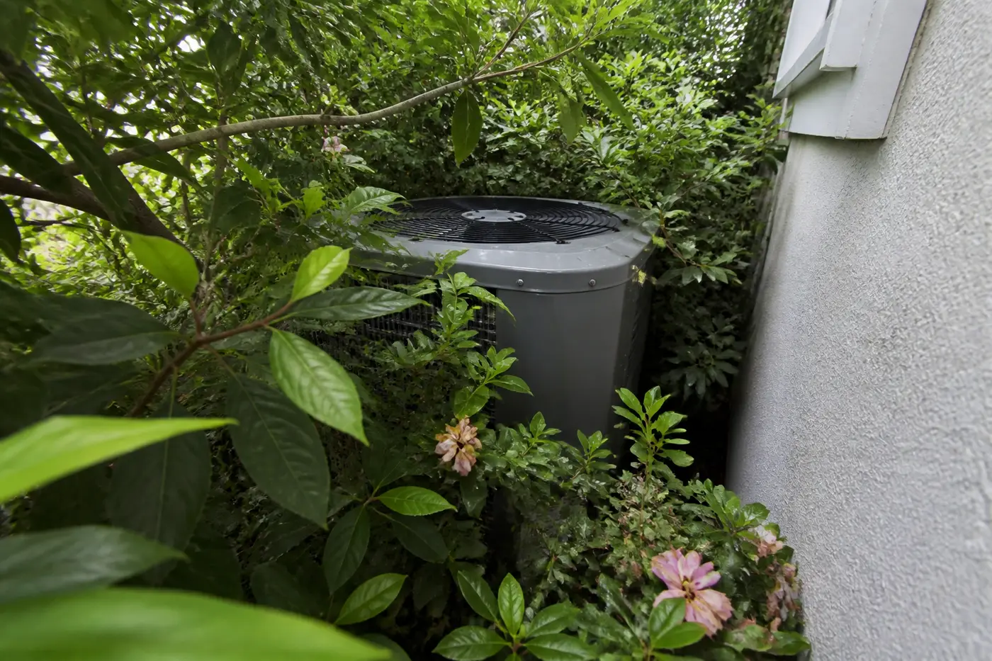 Outdoor AC condenser blocked by shrubs in a New Tampa backyard, a common heating and cooling service call
