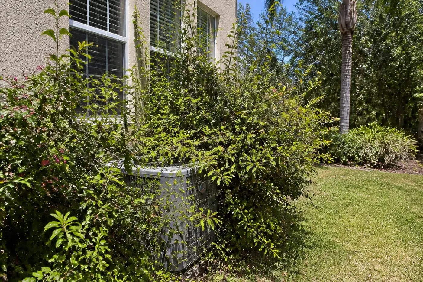 Outdoor AC condenser boxed in by shrubs in a New Tampa backyard